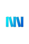Novel Nuggets